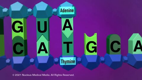 DNA and RNA - Transcription