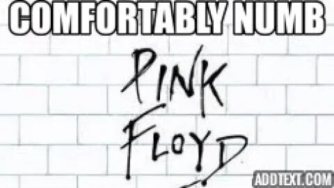 COMFORTABLY NUMB - PINK FLOYD