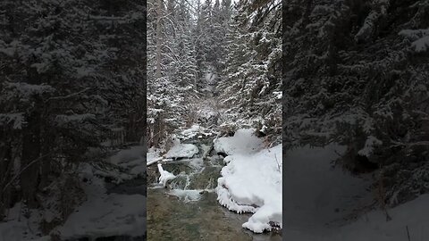 Fresh Canadian snowfall with soothing waterfall / stream / moving water sounds