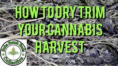 How To Dry Trim Your Marijuana Harvest