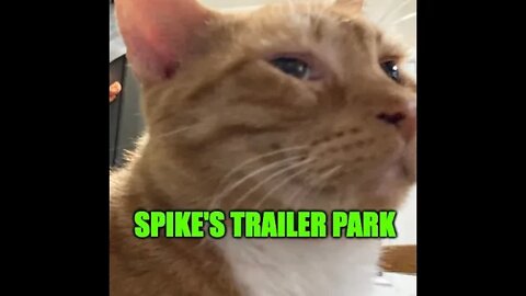 Spike's Trailer Park VIII