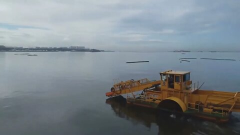 She's Here to HELP Clean Manila Bay!