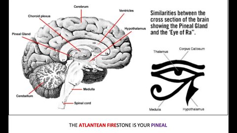 Secrets of the Universe They Don't Want You To Know, Ascension, Age of Aquarius, Jimmy Jones