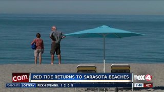 Red tide returns to Southwest Florida