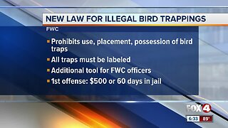 New law for illegal bird trapping