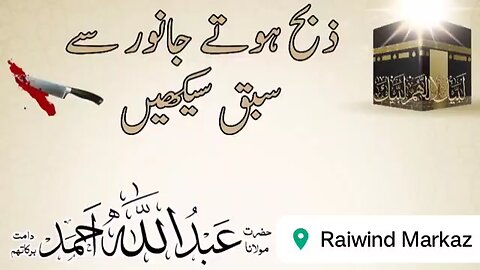 !EID-UL-AZHA k bary main molana ka jawab