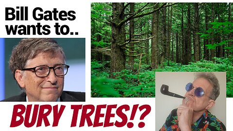 Bill Gates want's to bury trees? WTF is he on about?