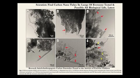 Scientists Find Carbon Nano Tubes In Lungs Of Everyone Tested & Possibly All Biological Life, Latest