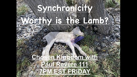 Synchronicity - Worthy is the Lamb?