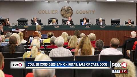 Collier County Commissioners to consider ban on retail sale of cats, dogs