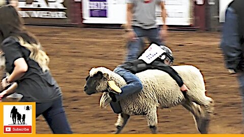 78 Rider Mutton Bustin' Slack - 2023 ABC Pro Rodeo