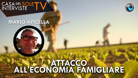 Mario Apicella: attacco all'economia famigliare