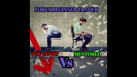 Forex Trading for Beginners Self Taught Vs Mentored