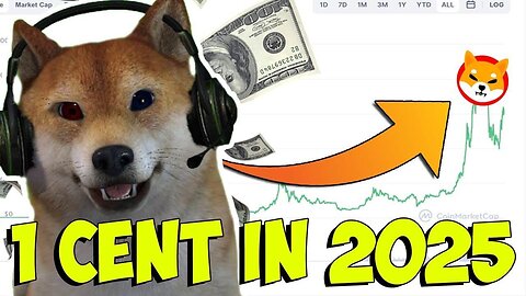 shiba inu crashing. WHEN AM I BUYING? MUST WATCH SHIBAINU VIDEO