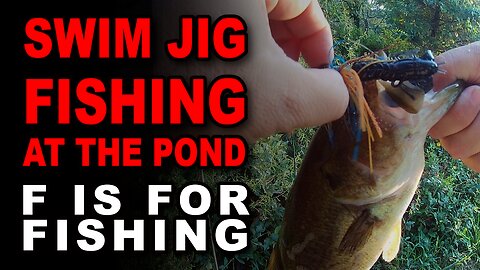 Swim Jig Fishing at the Pond