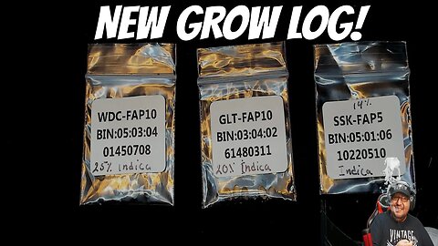 Let The Grow Begin! | Grow Log: Day 1 - Germination (Wedding Cake, Gelato & Super Skunk)