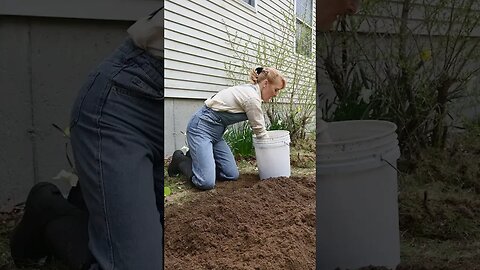 Using Same Plant's Compost is Safe? #shorts