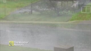 Pavement-pounding rain falls in Newfoundland