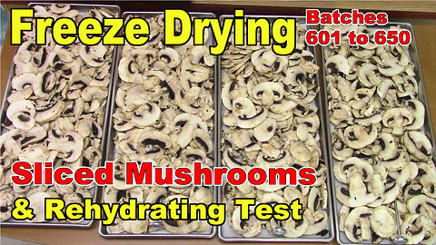 Freeze Drying & Rehydrating Sliced Mushrooms - Batch 625