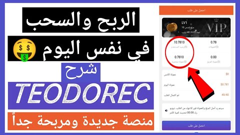 منصة جديدة ومربحة الربح والسحب في نفس اليوم شرح theodorec