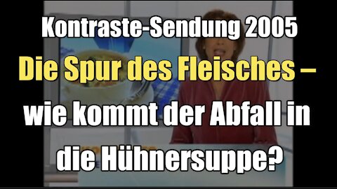 Die Spur des Fleisches – wie kommt der Abfall in die Hühnersuppe? (Kontraste I 20.10.2005)