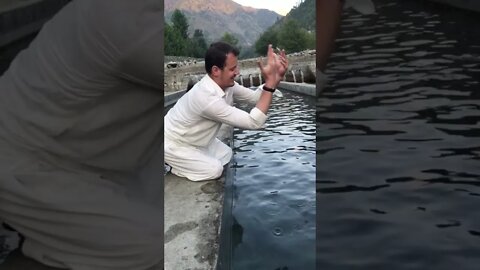 Wow! Amazing Hand Fishing ! How To Catch Fish By Hand In ...