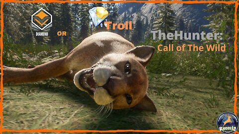 COTW: Is this a Diamond or Troll Mountain Lion we get with a pistol in Call of The Wild