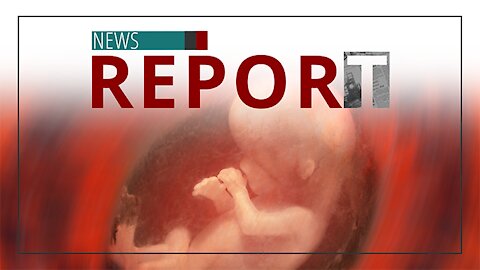 Catholic — News Report — Future of Pro-life Movement