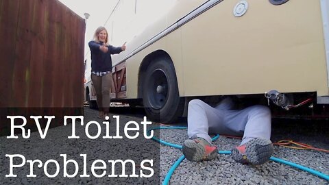 RV TOILET PROBLEMS...AGAIN + DAISY TURNS 3  | Bus Life NZ | RV Living Episode 31