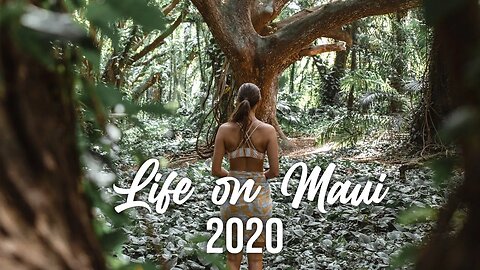 Life on Maui 2020 | Introduction