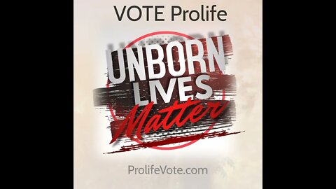 Unborn lives matter! Do you Agree? Vote for Life! #prolife #voteforlife ProlifeVote.com