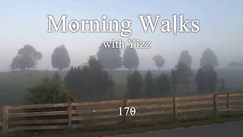 Morning Walks with Yizz 170