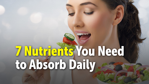 7 Nutrients You Need to Absorb Daily