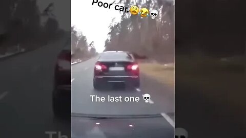 Poor car😂 bro the last one😩