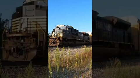 A Norfolk Southern Auto Rack , Good Train Horn Fostoria Ohio #train #trainhorn #asmr #railway