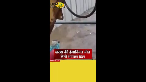 नाले में बहते कुत्ते की क्रेन से बचाई जान, सोशल मीडिया पर वीडियो हुआ वायरल!