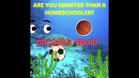 Who's Smarter?Pt10 Test Your Skills Against a Homeschooler! #homeschooling #research