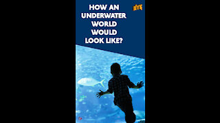 What If We Could Breathe Under Water *