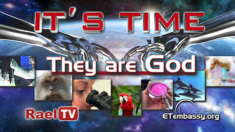 IT'S TIME : They are God (4 of 6)