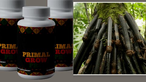 Primal Grow Pro - Primal Grow Pro Reviews ? "African Penis Ritual" Unlocks Your Penis' TRUE Size