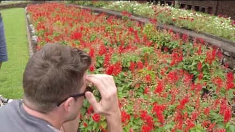 Touchant: un jeune homme voit les couleurs pour la première fois