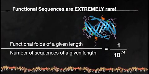 Amino Acid Sequencing