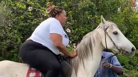 Question Of The Day: Should An Ass This Huge Be Allowed On A Horse?