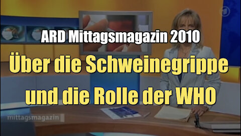 Über die Schweinegrippe und die Rolle der WHO (ARD I 24.06.2010)