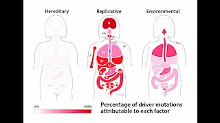 Dodging Cancer; genetic testing. Does "cancer run in the family"?