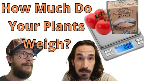 How much nutrient mass are your plants using when growing?