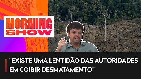 Desmatamento na Amazônia em 1 ano é o maior desde 2006