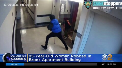 85-year-old elderly white female attacked & robbed in a Bronx apartment building by black suspect