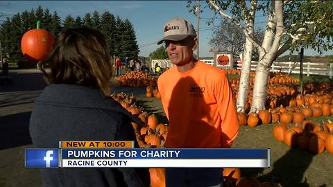 Local pumpkin farmer, survivor, raising money for pancreatic cancer research