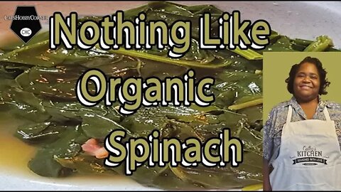 Organic Cooked Spinach - 22may2022